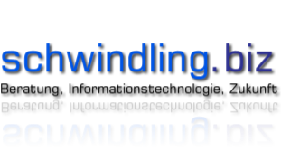 schwindling.biz - Beratung, Informationstechnologie, Zukunft - Logo